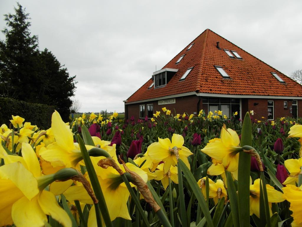 Pension Zonneweelde Oosthuizen Extérieur photo